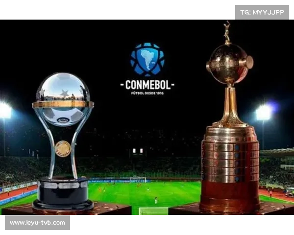 巴西俱乐部近年统治解放者杯，七年晋级决赛